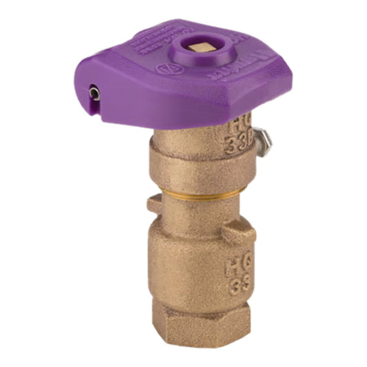 Hunter Quick Coupling Valve 3/4 in. FIPT Inlet 2 pc. Body 2-Slots with Reclaimed Purple Rubber Locking Cover
