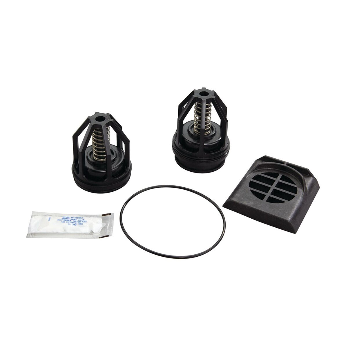 Watts RK 007M2-T 1 1/4-1 1/2 First Second Check Repair Kit