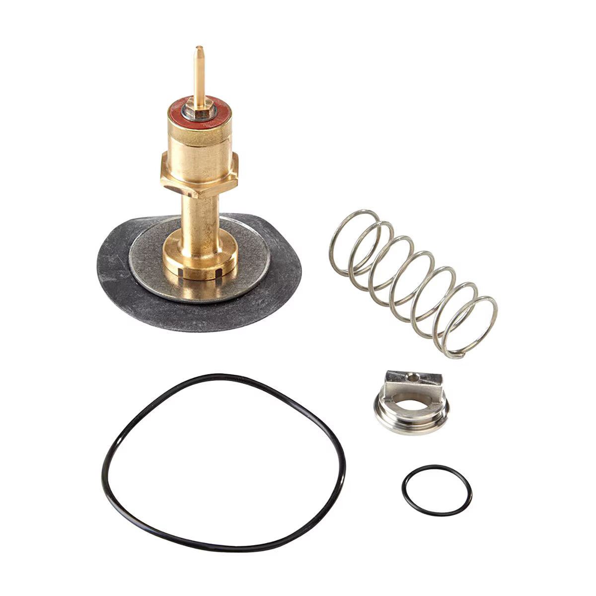 RK-009 Relief Valve Repair Kit 3/4 in.- 1 in.