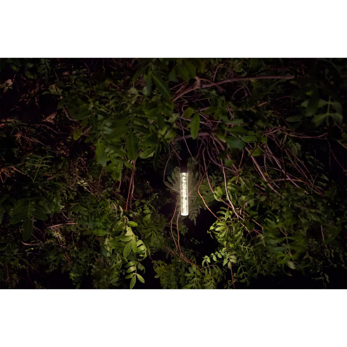 Brilliance-VB-04-BR-2700- VersaBeam Acrylic Bubble Rod with Hanging Loop Brass 6 in. LED 2700K