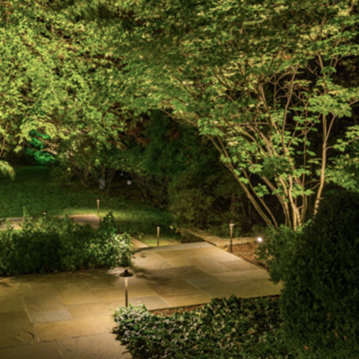 BD-PL-G4-ECO-BrillianceBlack Diamond Path Light Blackened Brass 3W LED 24