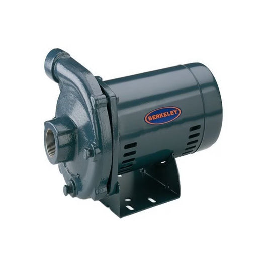 Sta-Rite JHE CP1XPHS Centrifugal Pump 1 HP 115/230V 1 Phase Cast Iron