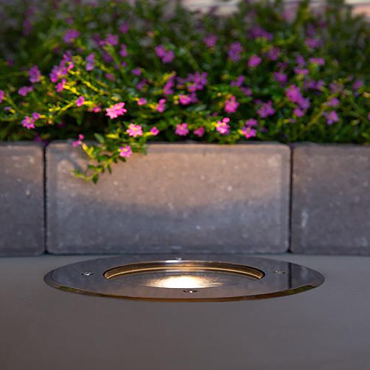 FX XN-70 Grande In-Grade Fixture WF Stainless Steel