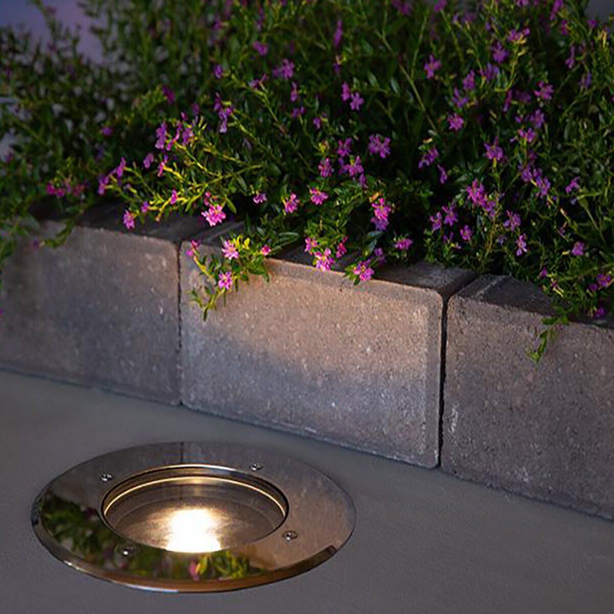 FX XN-70 Grande In-Grade Fixture WF Stainless Steel