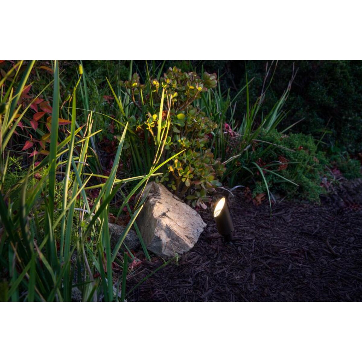 FX CA-51 Accent ECO 4W 27K 35 DEG Antique Bronze 6.2VA