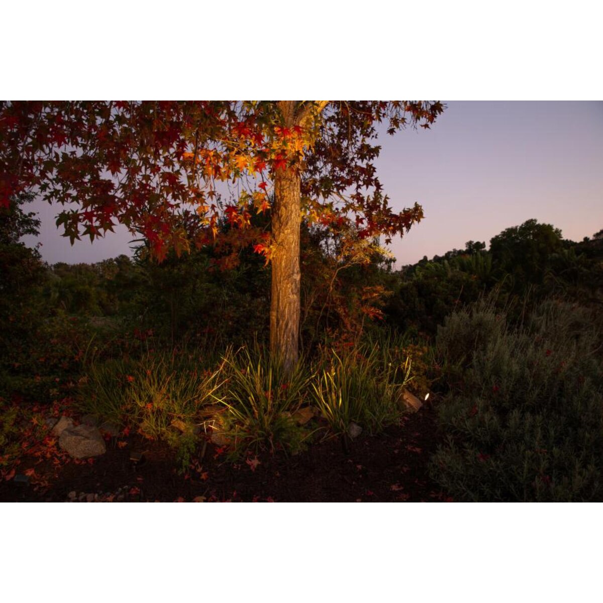 FX CA-51 Accent ECO 4W 27K 35 DEG Antique Bronze 6.2VA