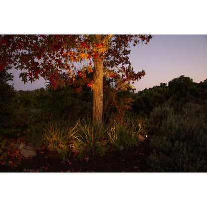 FX CA-51 Accent ECO 4W 27K 35 DEG Antique Bronze 6.2VA