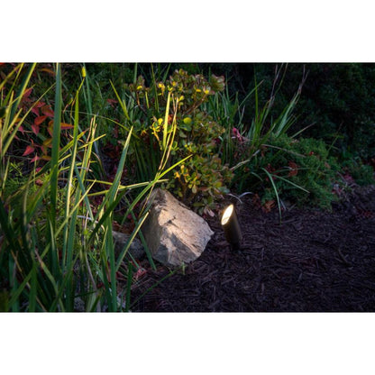 FX CORA CA 51 Accent Light Antique Bronze No Lamp 26 ft. Lead