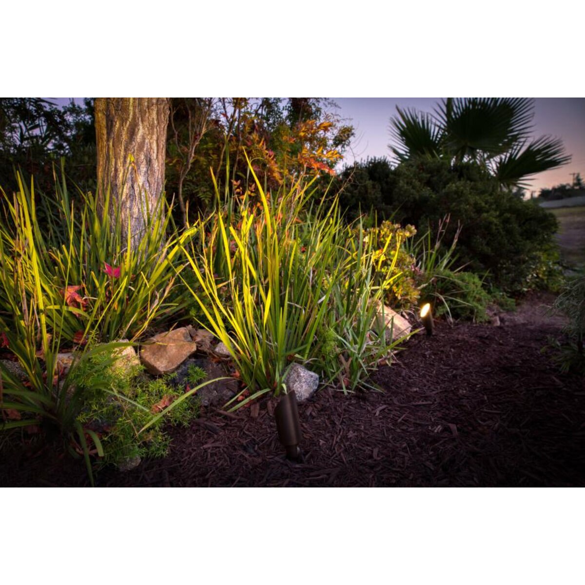 FX CORA CA 51 Accent Light Antique Bronze No Lamp 26 ft. Lead