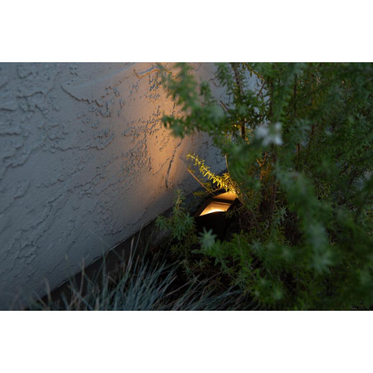 FX CORA CW 51 Wall Wash Light Bronze No Lamp 26 ft. Lead