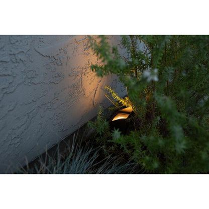 FX CORA CW 51 Wall Wash Light Bronze No Lamp 26 ft. Lead