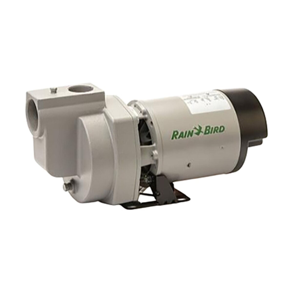 Rain Bird 1 HP Single Phase Booster Pump
