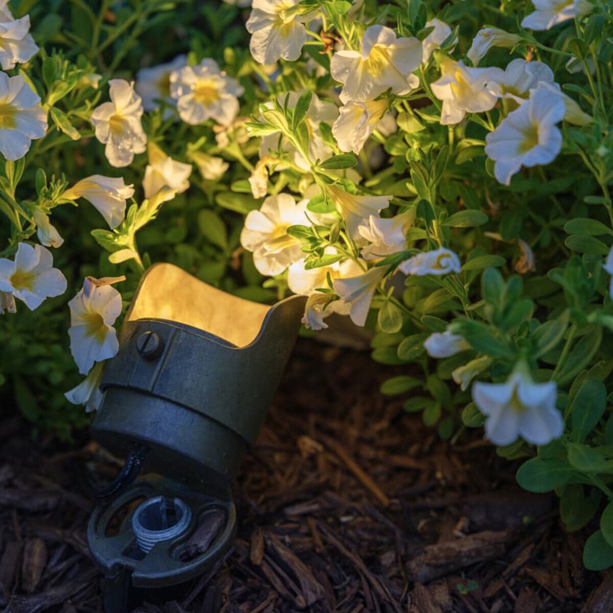 EmeryAllen EA-RANGER-6.0W-2790-D Ranger 2700K Brass Fixture
