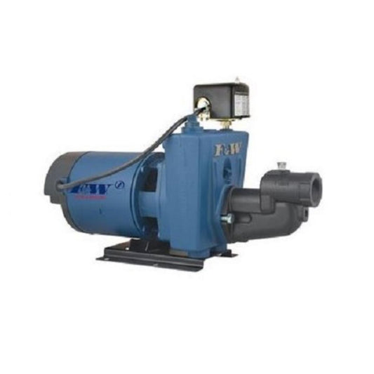 Flint & Walling CPJ Series 1 HP Pump | CPJ10SB