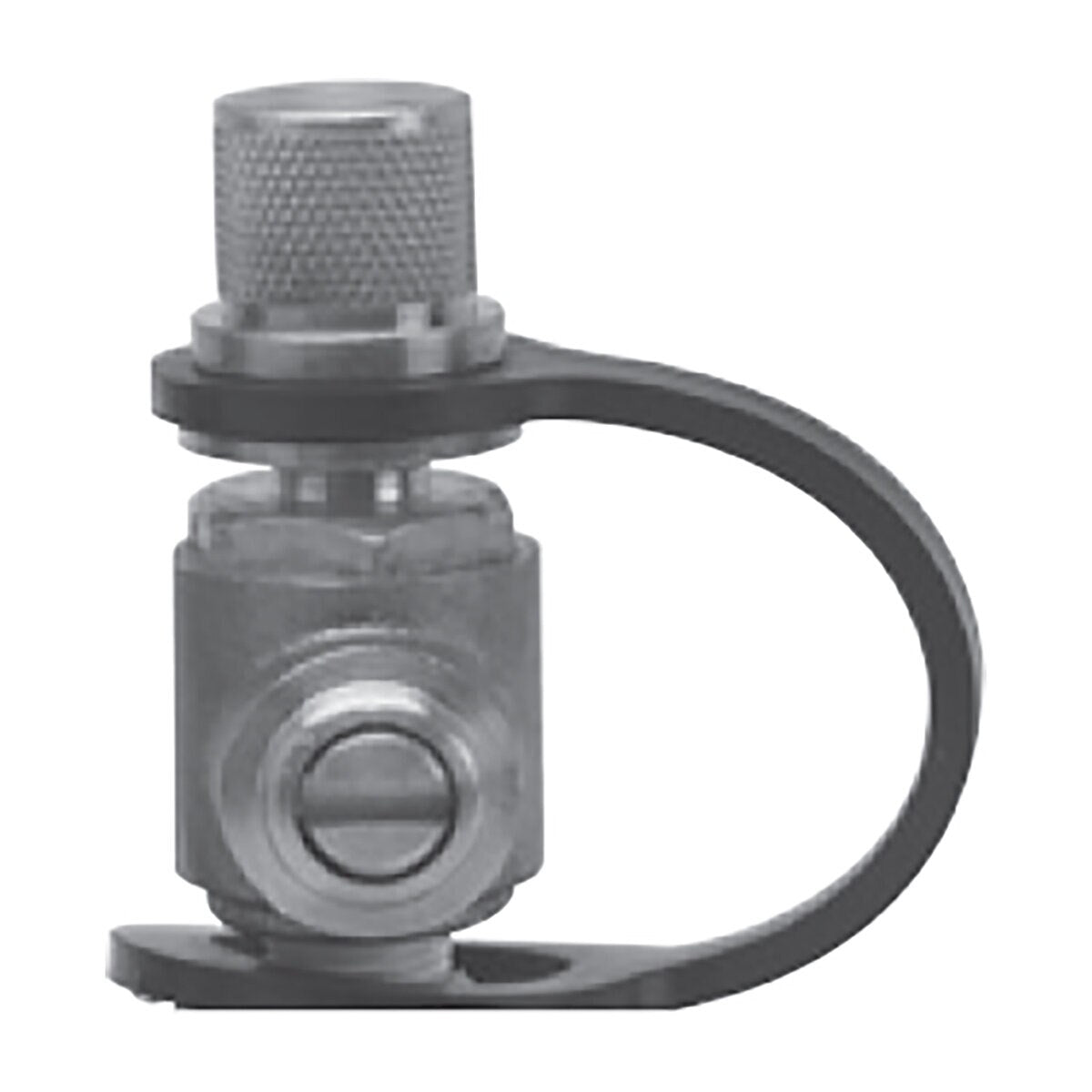 Watts Test Port Cap & Tether 1/8–1/4 in. NPT Plastic