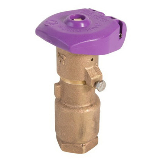 Rain Bird Quick Coupling Valve 1 in. FIPT Inlet 2-Piece Body Double Track Key Lug with Reclaimed Purple Locking Cover