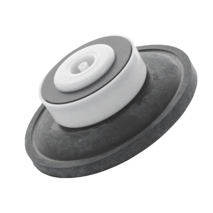 Toro Diaphragm Assembly 1 in. for 250 252 and 260