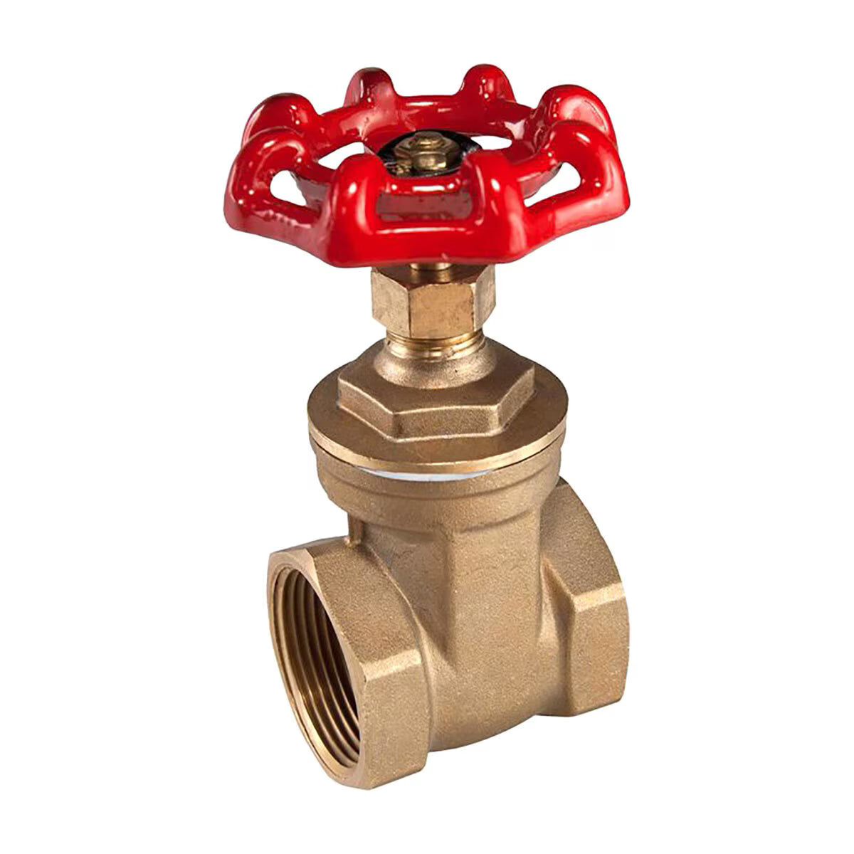 GV025  Import Gate Valve 620-025 2-1/2 in.