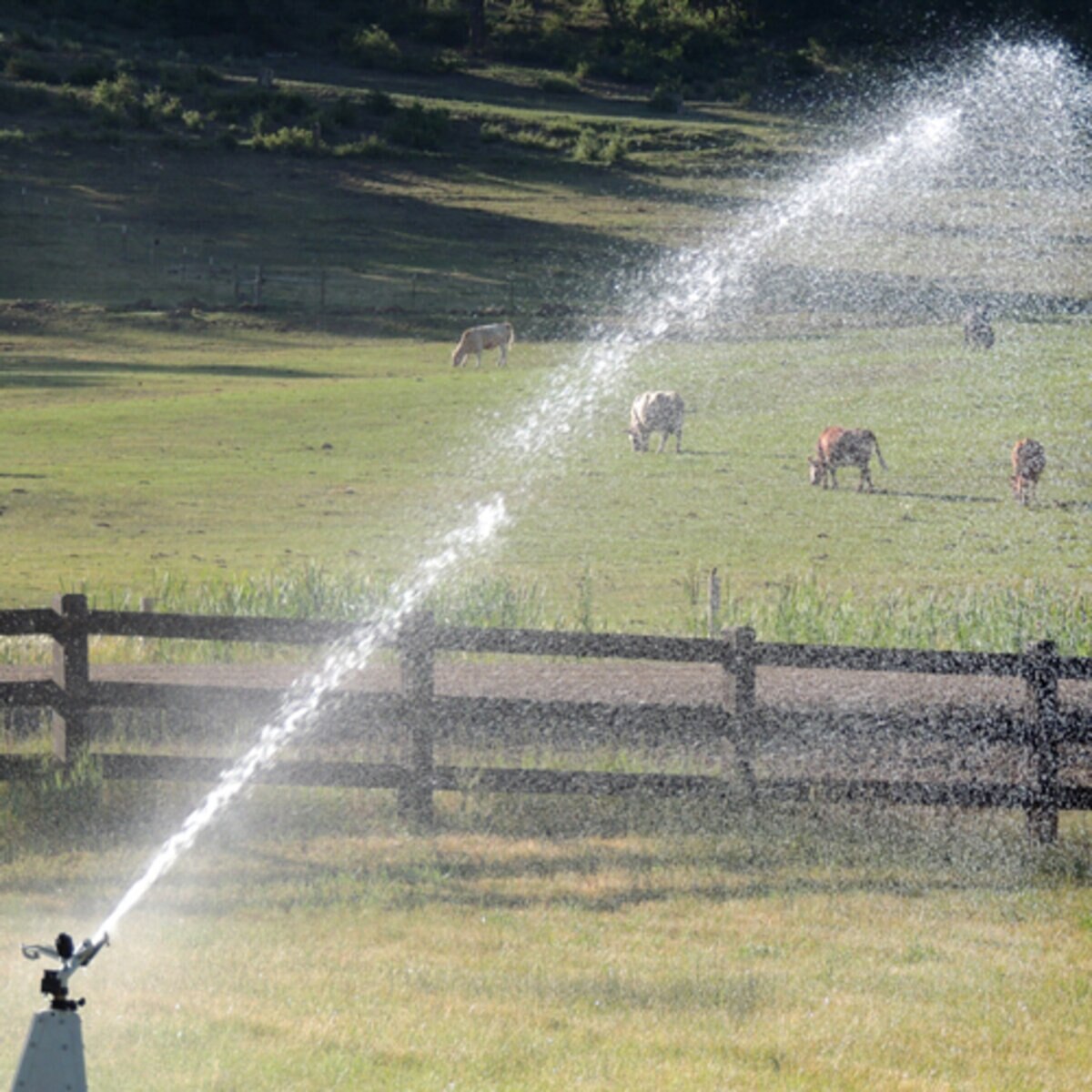 Kifco Sime K-1 Sprinkler W/O Nozzles