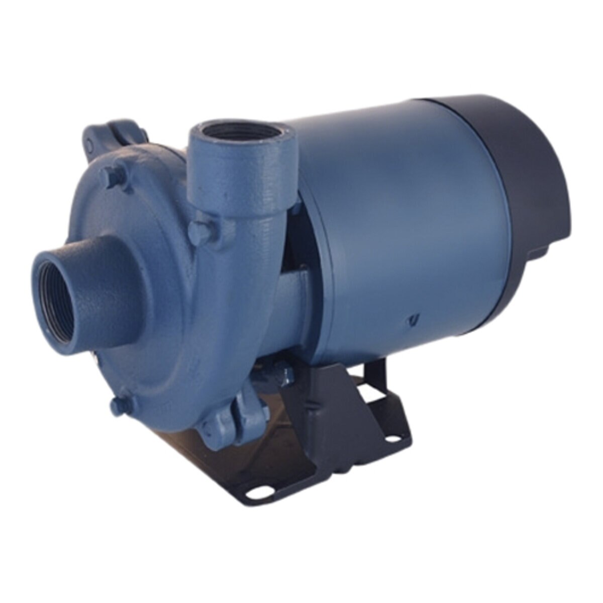 Flint & Walling CJ103P051  CJ Centrifugal Pump Plastic Impeller 1/2 HP 115/230V 1 Phase Cast Iron