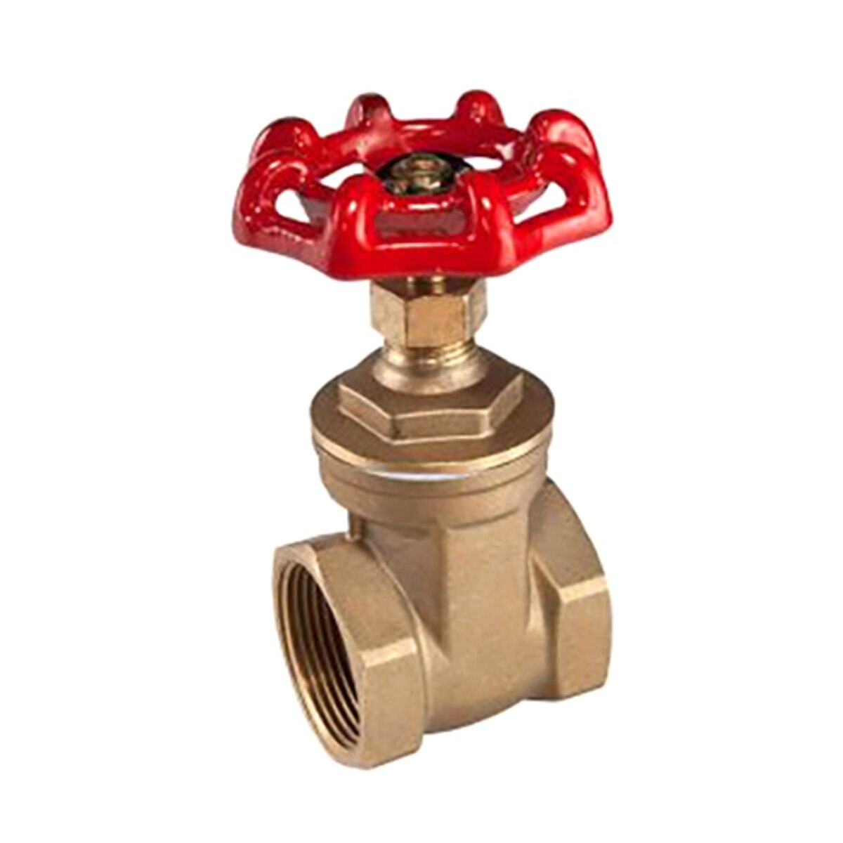 IOGV040 Import O-Ring Gate Valve 4 in.