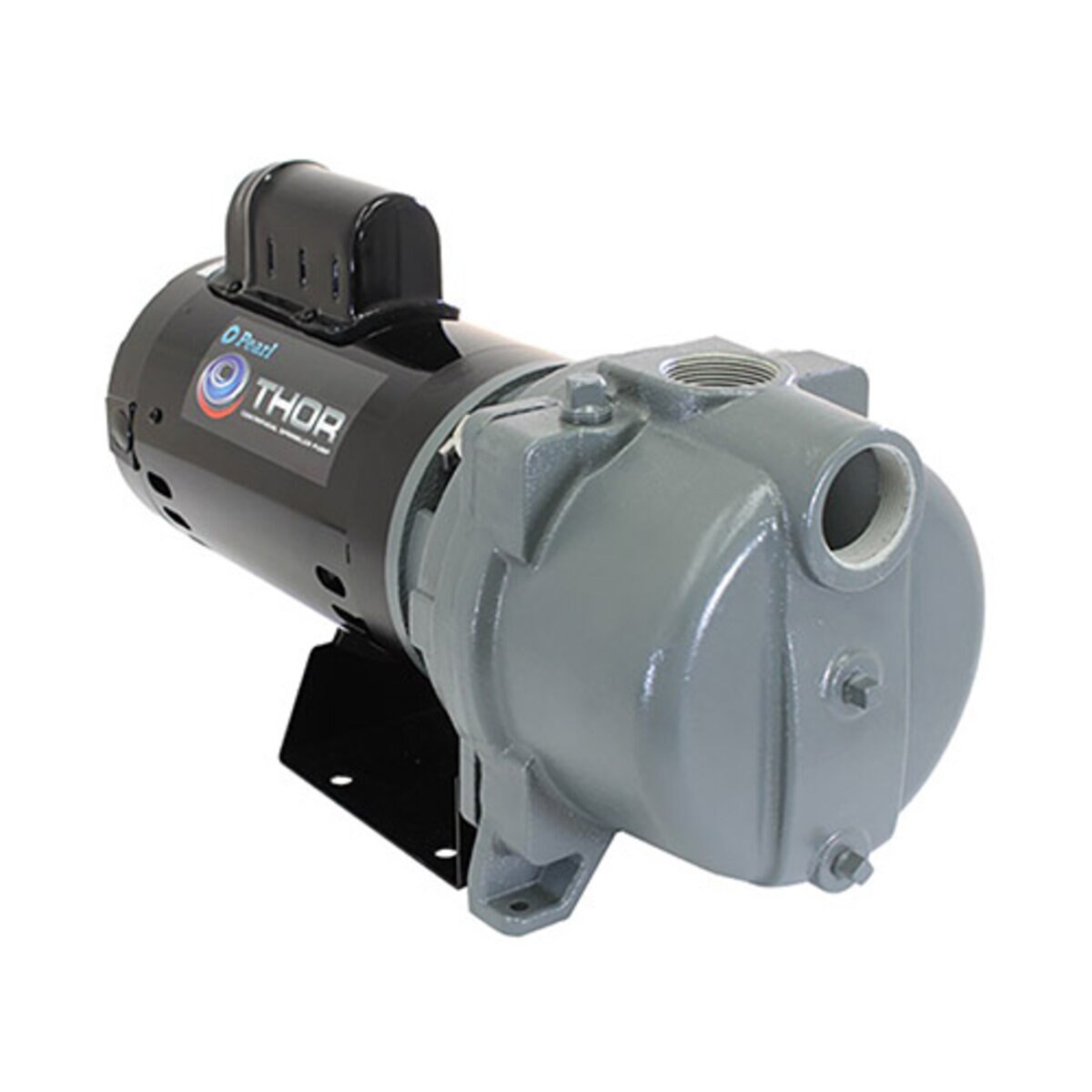 Pearl THOR  THOR10  Centrifugal Pump 115/230V 1.0 HP 1 Phase 60 Hz