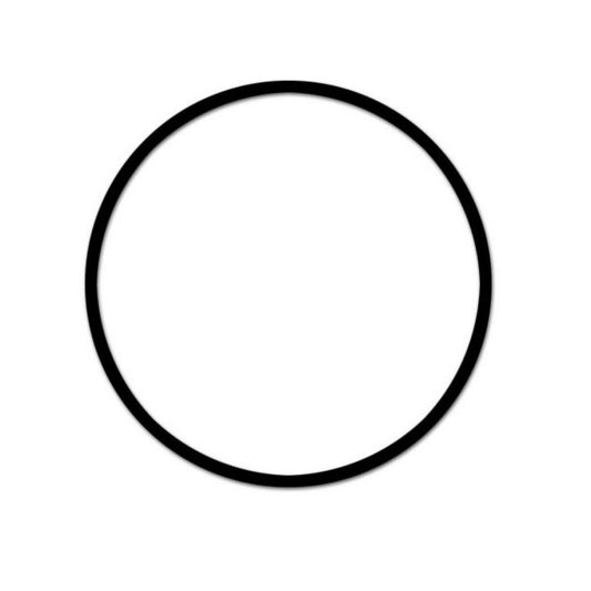 Fimco 1 in. Valve Top O-Ring