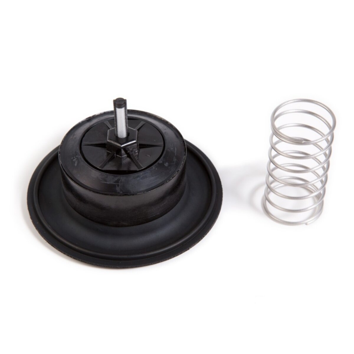Rain Bird Diaphragm Assembly for 200PGA  2 in.