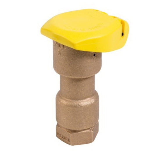 Rain Bird Quick Coupling Valve 1 in. FIPT Inlet 1 pc. Body with Yellow Rubber Cover