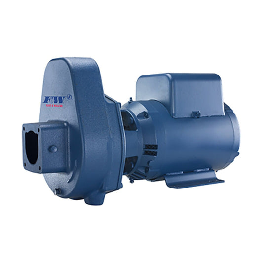 Flint & Walling 3HP SPM High Head Pump
