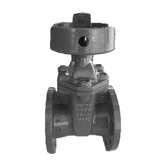 6" Flanged Gate Valve - Leemco