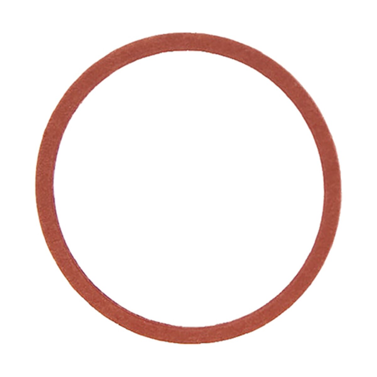 Valve Cap Gasket 1" Anti-Siphon Body ASV AVB