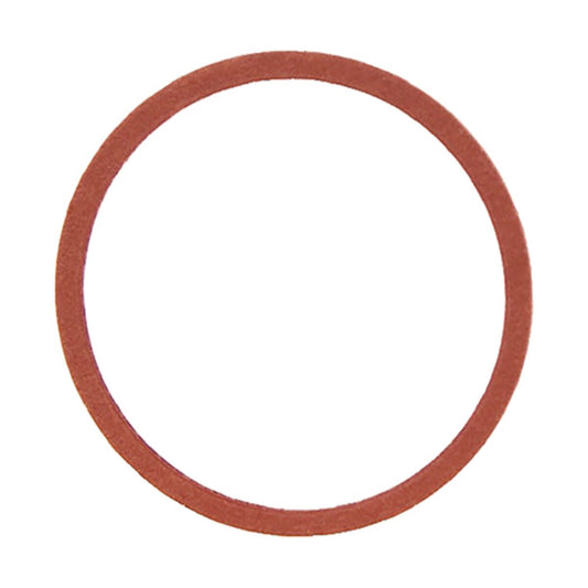 Valve Cap Gasket 1" Anti-Siphon Body ASV AVB