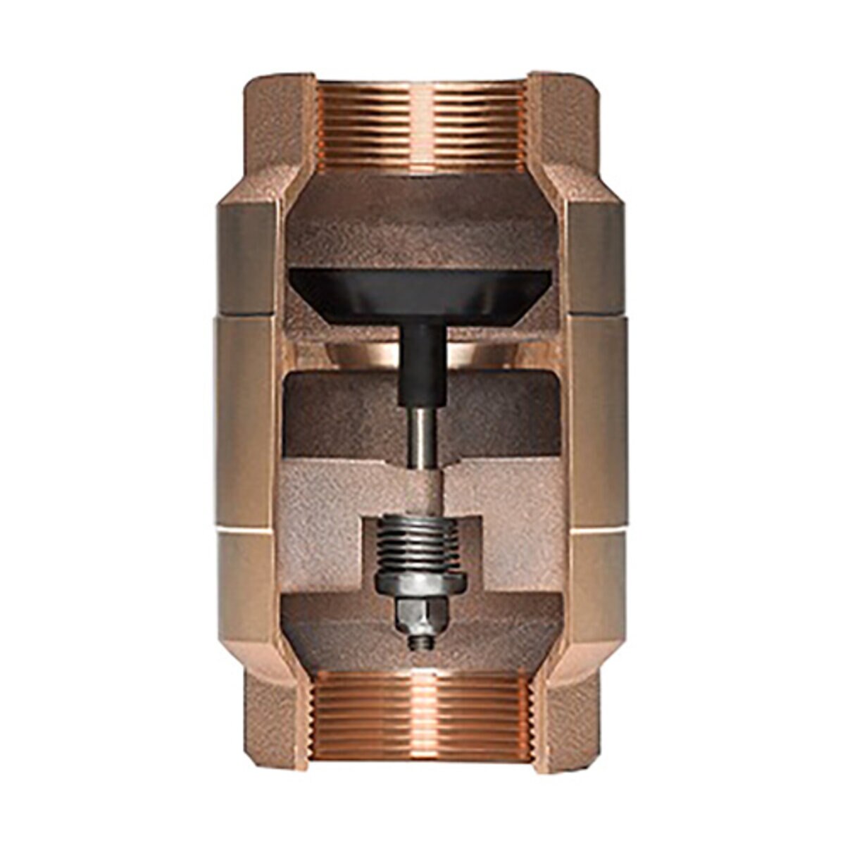Strataflo 2-1/2 in. FNPT Brass Check Valve with Buna-S Rubber Poppet
