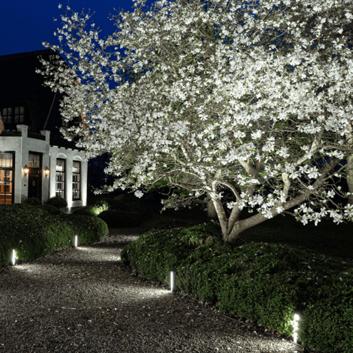 In-Lite-10401002- Big Scope Wide Outdoor Spotlight 12V Black Finish 5W LED 3100K
