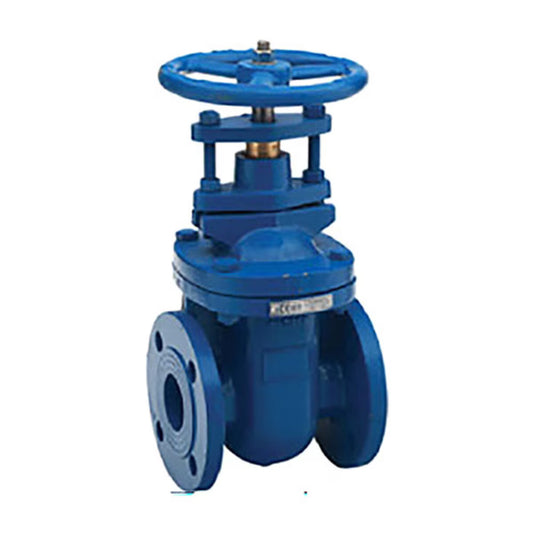 Cast Iron Flange Gate Valve 4 in.