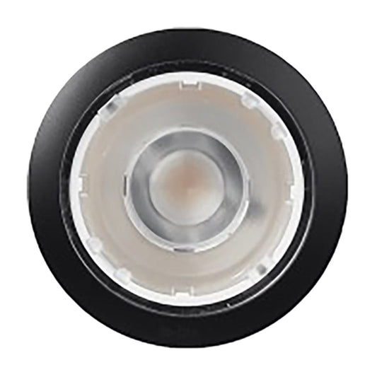 in-lite -10103210-BLK-Big Flux Outdoor Ground Spotlight 12V Black Finish 3W Warm White