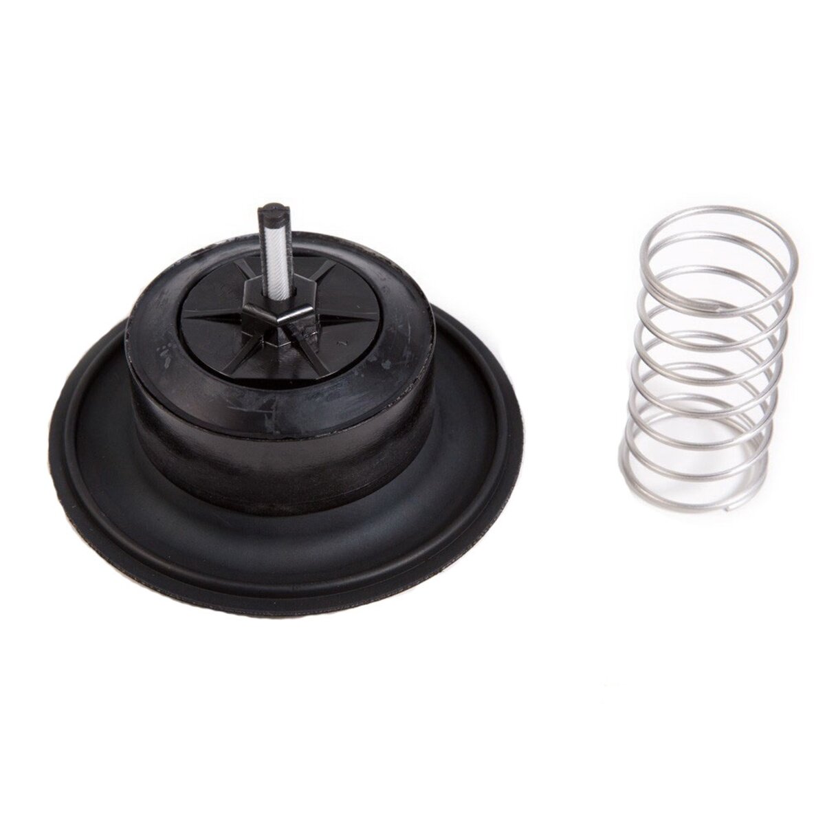 Rain Bird Diaphragm Assembly for 200PGA  2 in.