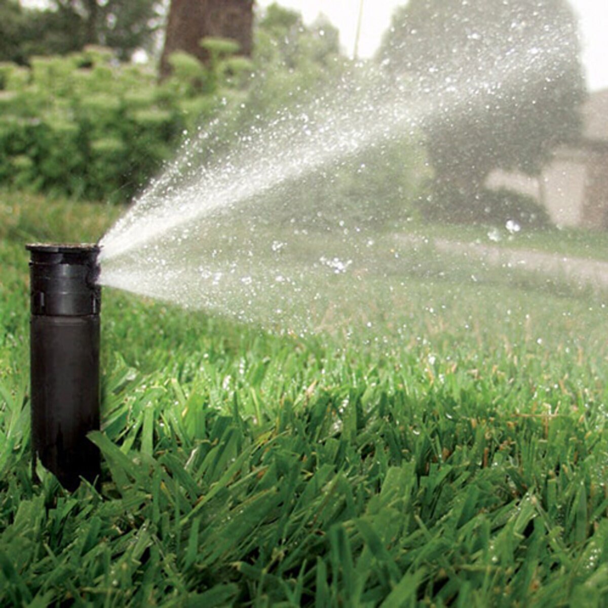 Rain Bird U-Series Nozzle Radius Quarter Circle 8 ft. 90 Degree | RU8Q
