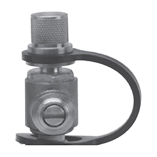 Watts RK TC-P 1/8-1/4 Test Port Cap & Thether