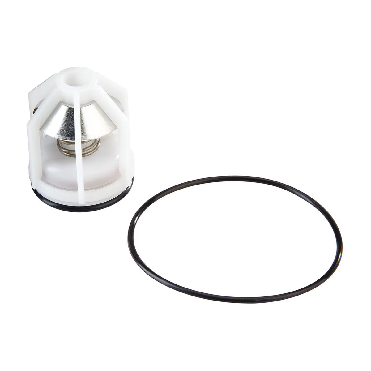 Watts First Check Kit RK-009 1 in.
