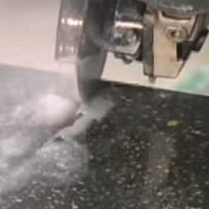 Alpha Contour Curve Cutting Blade 5 in.
