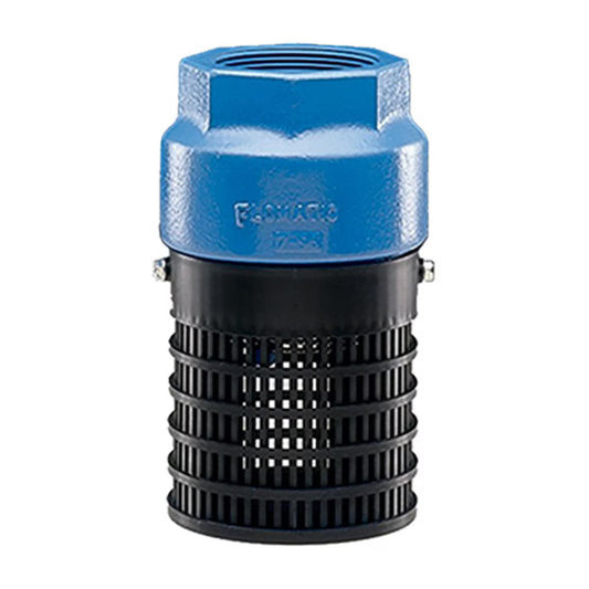 Flomatic  4766  3 in. Foot Valve FIPT