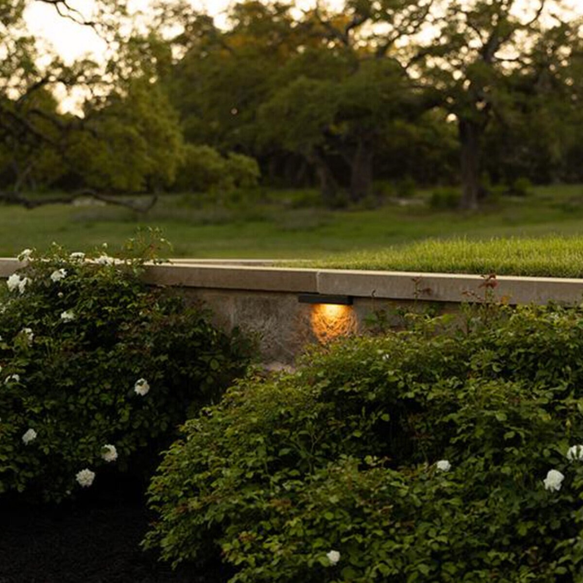FX Luminaire CL31E2WFB Cora CL-31 LED Ledge Light, Eco 1.3VA, 2700K, Black