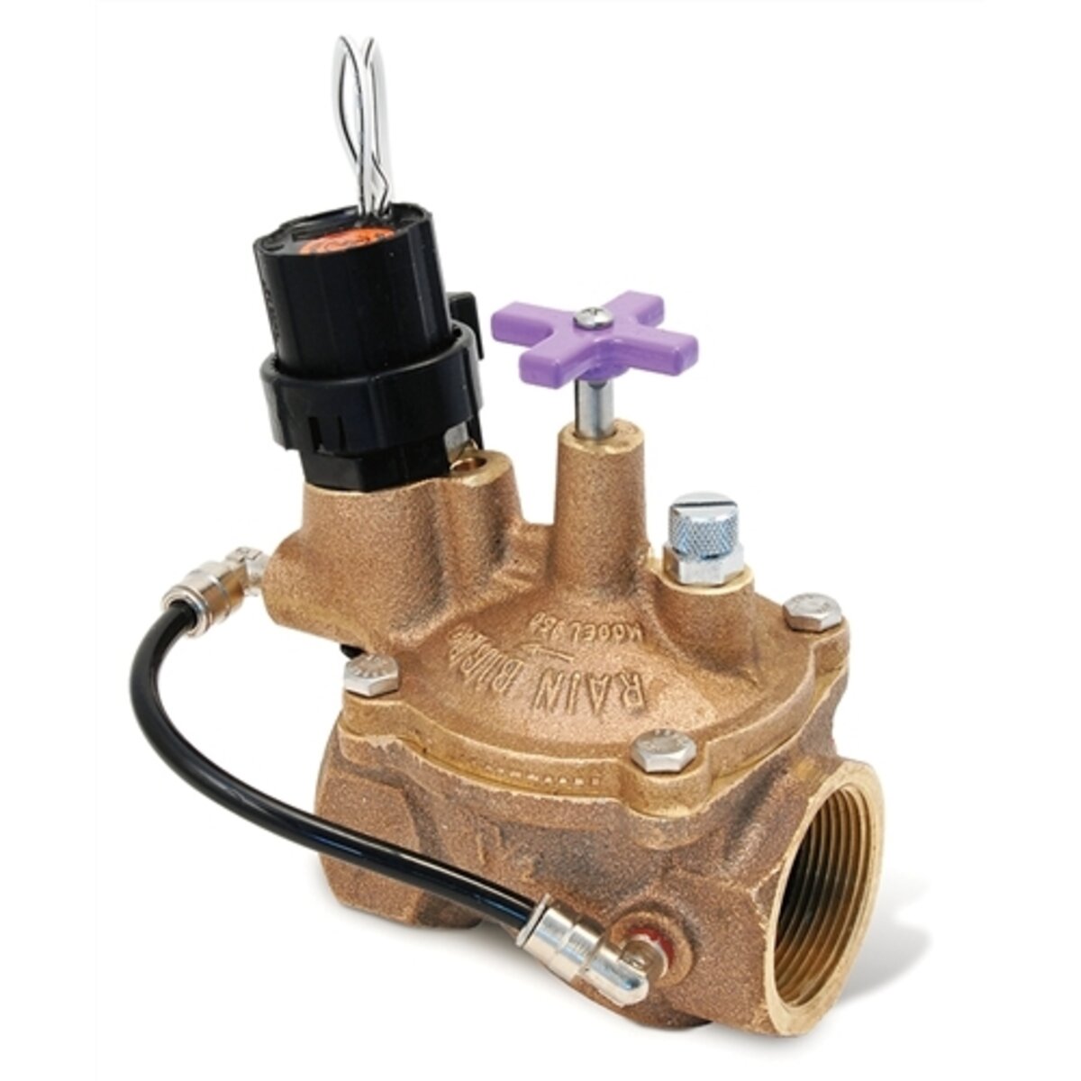 Rain Bird BPES Globe/Angle Scrubber Valve Brass 3 in. w/ Flow Control FIPT x FIPT