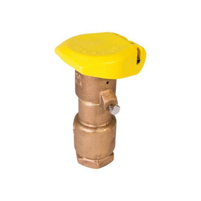 Rain Bird Quick Coupling Valve 1 in. FIPT Inlet 2 pc. Body Double Track Key Lug w/ Yellow Cover
