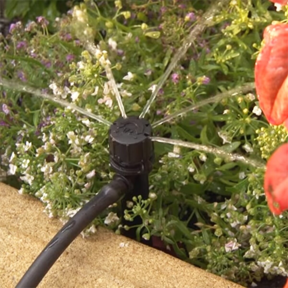 H2Owize Shrub Irrigator, 180 degree, Adjustable Flow