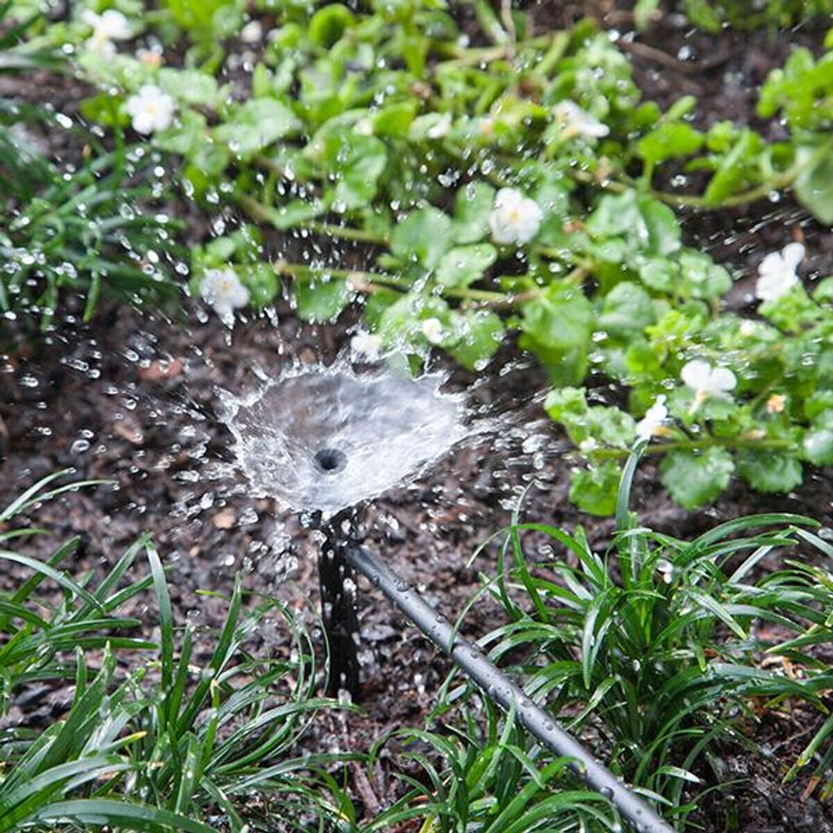 H2Owize Shrub Irrigator, FAN Spray, 360 degree, Adjustable Flow