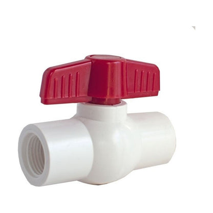 PVC Slip Ball Valve 2-1/2 in.