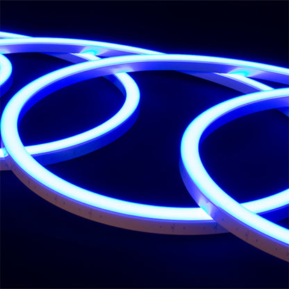 American Lighting Neon RF Kit 12V AC 20 ft. RGBW
